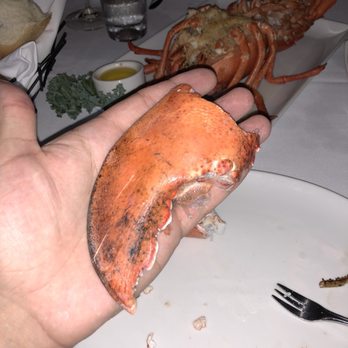 22 Bowen's - Claws as big as my hand - New American Near Me - Newport, Rhode Island 22 Bowen's - Claws as big as my hand - New American Near Me - Newport, Rhode Island