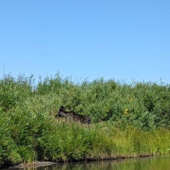 Macks Inn River Adventures - Rafting/Kayaking Near Me - Island Park, Idaho