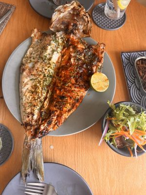 Ictio Fish House by null