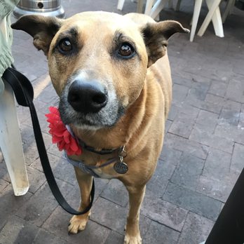 Paula's Pancake House - Cako Approves! - Breakfast & Brunch Near Me - Solvang, California