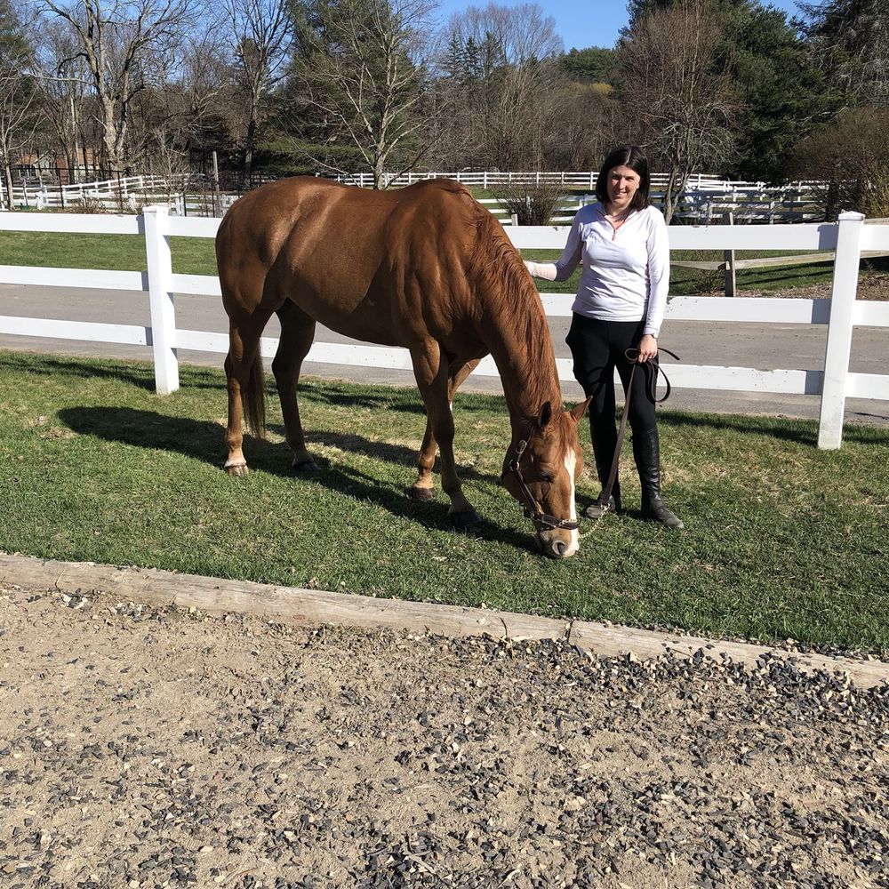 Boston Hunt and pace - Horseback Riding Near Me - Stow, Massachusetts