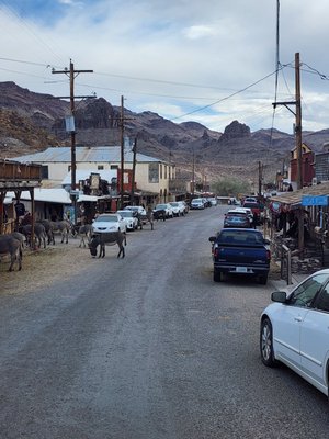 Oatman Hotel Restaurant & Bar by null
