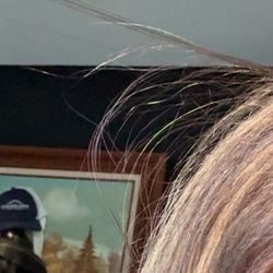 Halo Salon - How damaged them broken off my hair was after the correction service