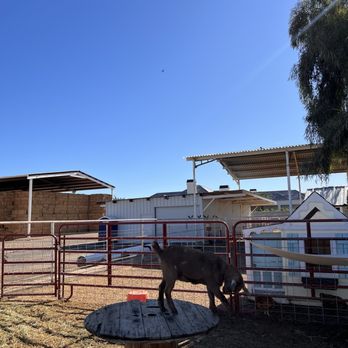 Honeybrook Farm Store - Farms Near Me - Gilbert, Arizona
