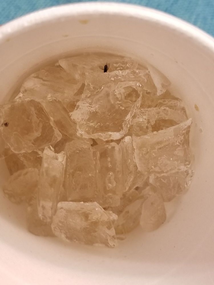 STEAK ’N SHAKE Updated June 2024 20 Photos & 47 Reviews 3821 41st