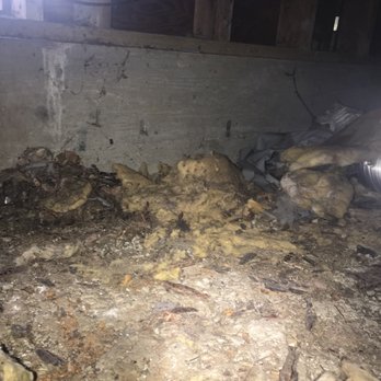 Attic Pros - Crawl space before the cleaning up - Pest Control Near Me - Oakland, California