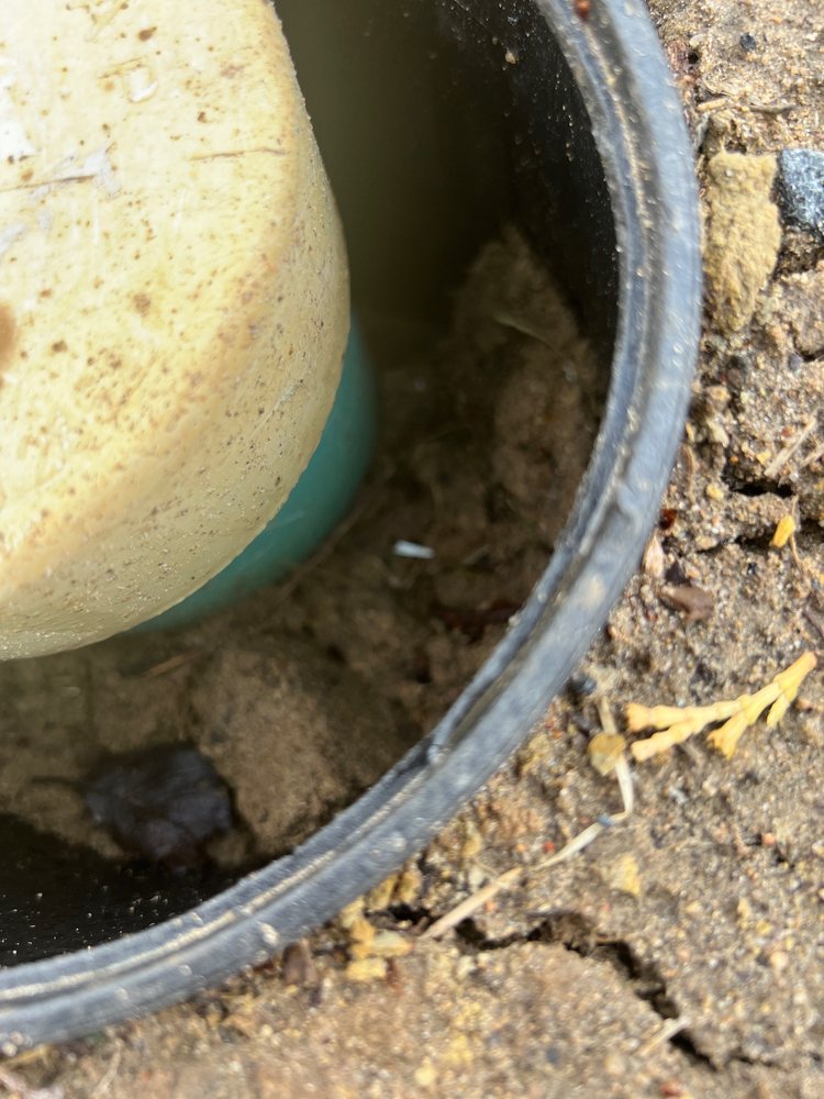 Slide of Proactive Sewer & Drain