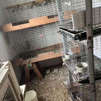 TJ’s Junk Removal - Before. Cages and animal shavings/waste they had to clean out - Junk Removal & Hauling Near Me TJ’s Junk Removal - Before. Cages and animal shavings/waste they had to clean out - Junk Removal & Hauling Near Me