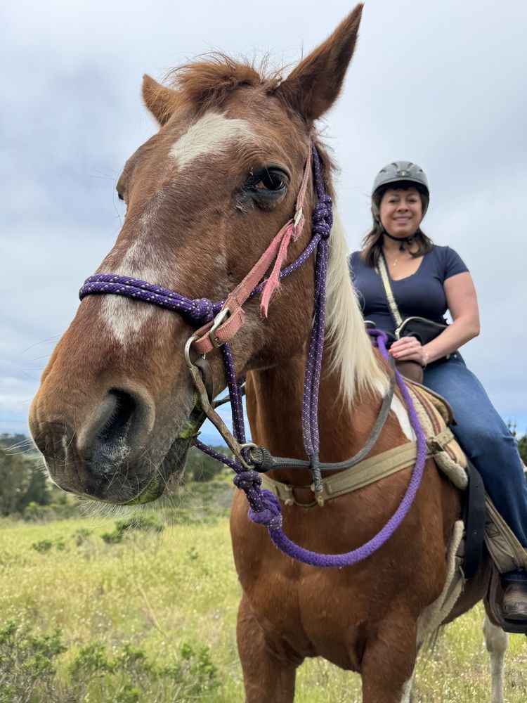 Coastside Trail Rides - equestrian in Moss Beach, CA