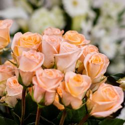 Awesome Blossom