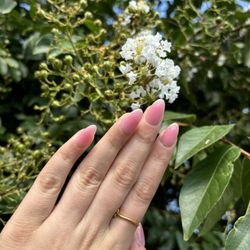 Glossy Nails - Nails