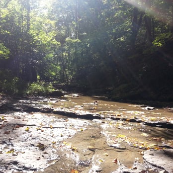 East Fork State Park - Backing packing trail - Hiking Near Me - Bethel, Ohio