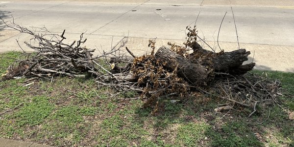 WE-HAUL JUNK - Updated December 2025 - 63 Photos - Dallas, Texas - Junk