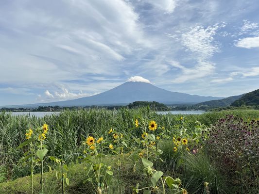 Lake Kawaguchi by null