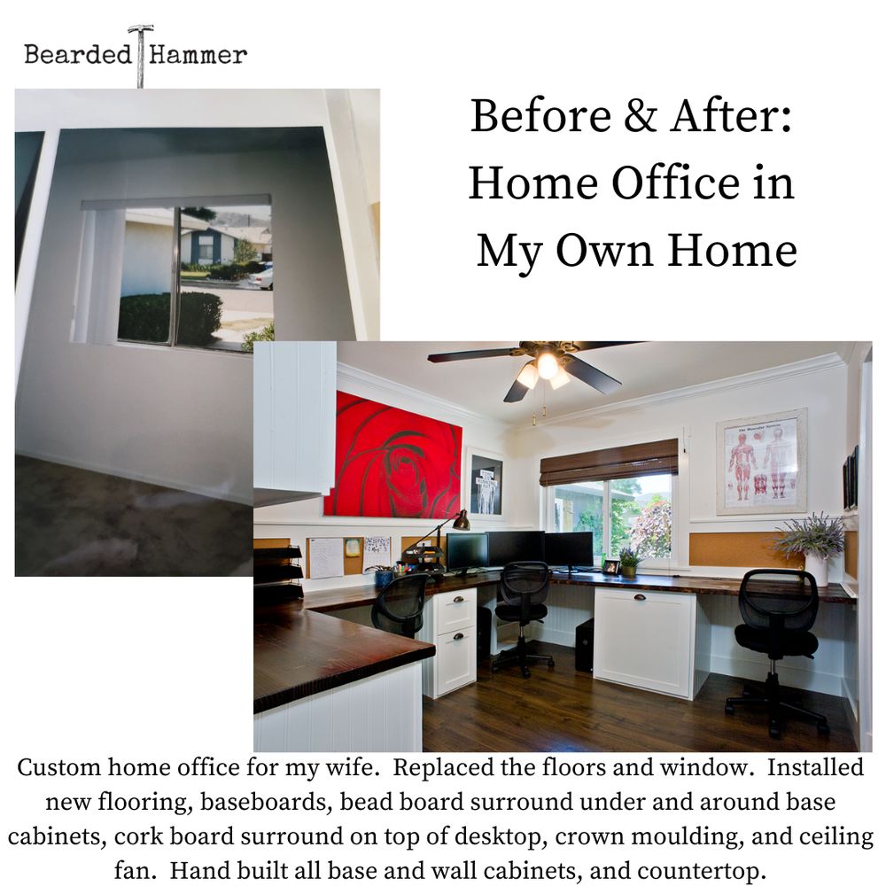 Slide of Bearded Hammer