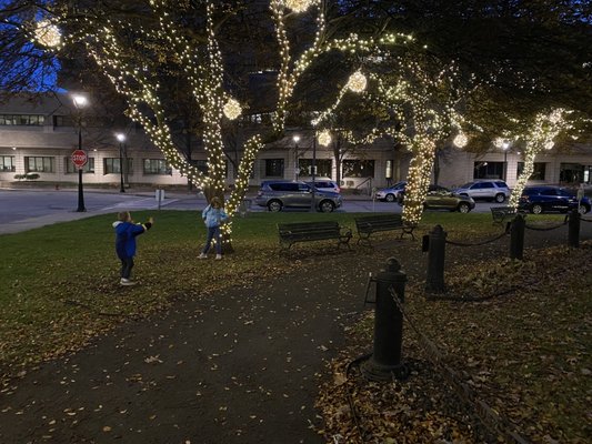Zeidler Union Square Park by null