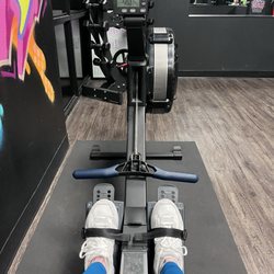 Alpha Aesthetics