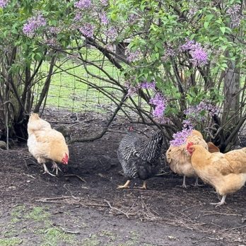 Klein Creek Farm - Parks Near Me - West Chicago, Illinois