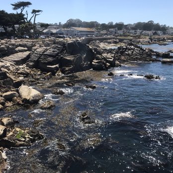 Lovers Point Park - Parks Near Me - Pacific Grove, California Lovers Point Park - Parks Near Me - Pacific Grove, California