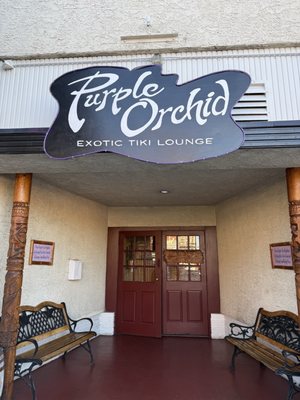 Purple Orchid by null