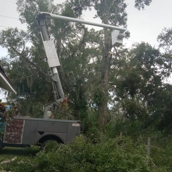 L and A Tree Service - Tree Services Near Me L and A Tree Service - Tree Services Near Me