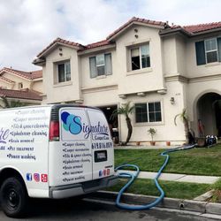 Signature Carpet Care