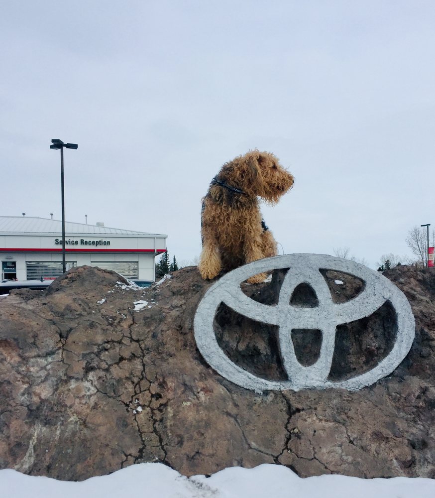 CANYON CREEK TOYOTA Updated May 2024 22 Reviews 370 Canyon Meadows Drive SE, Calgary