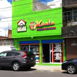 Koala Hospital Veterinario