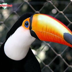Zoobotânico
