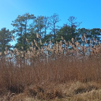 East Bay Park - Parks Near Me - Georgetown, South Carolina East Bay Park - Parks Near Me - Georgetown, South Carolina