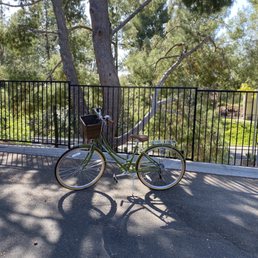 Retrospec Beaumont 7 speed women's bike