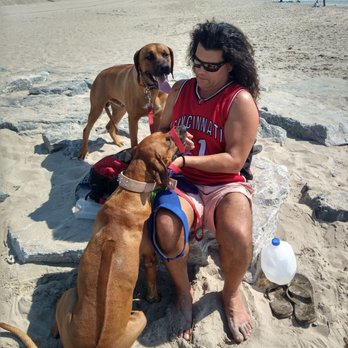 Rockaway Beach and Boardwalk - Couldn't possibly miss the beach today..  el pupposs hanging on the rocky jetty - Beaches Near Me - Far Rockaway, New York