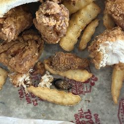 Huey Magoo's Chicken Tenders - Daytona Beach