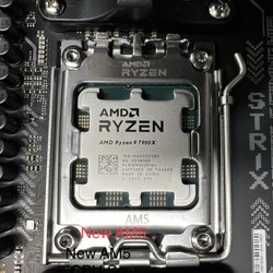 Human Computer - AMD AM5 Ryzen 5