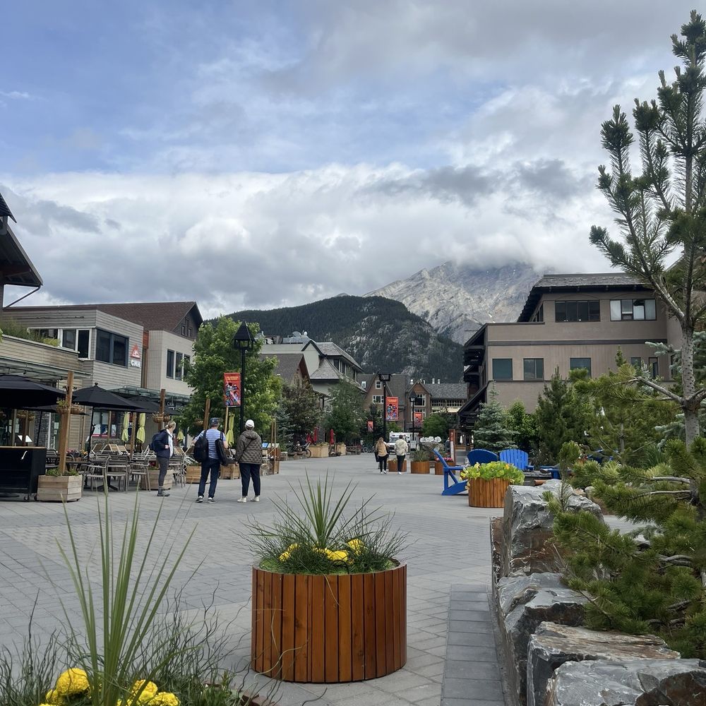 Wild Flour - Banff's Artisan Bakery Cafe - Coffee & Tea Near Me - Banff, Alberta Wild Flour - Banff's Artisan Bakery Cafe - Coffee & Tea Near Me - Banff, Alberta