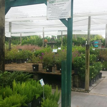 MRT ACE Lawn & Garden Center - Great place but you're on your own if you need help! - Nurseries & Gardening Near Me - Venice, Florida MRT ACE Lawn & Garden Center - Great place but you're on your own if you need help! - Nurseries & Gardening Near Me - Venice, Florida