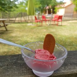 Les Goûts et les Couleurs - Glace framboise maison, un delice !