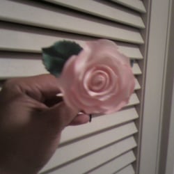 Jacqui's Cakes - Sugar flower from white basket flower cake