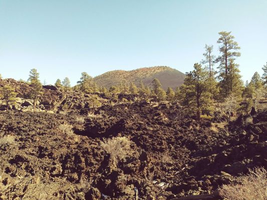 Sunset Crater Volcano National Monument by null