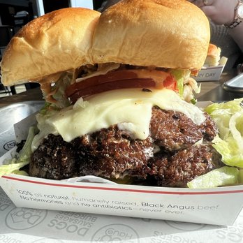 Dog Haus - Double cheeseburger - Burgers Near Me - Franklin, Wisconsin