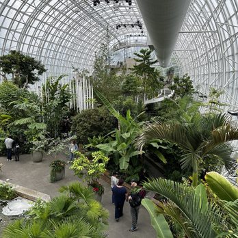 Myriad Botanical Gardens - Botanical Gardens Near Me - Oklahoma City, Oklahoma