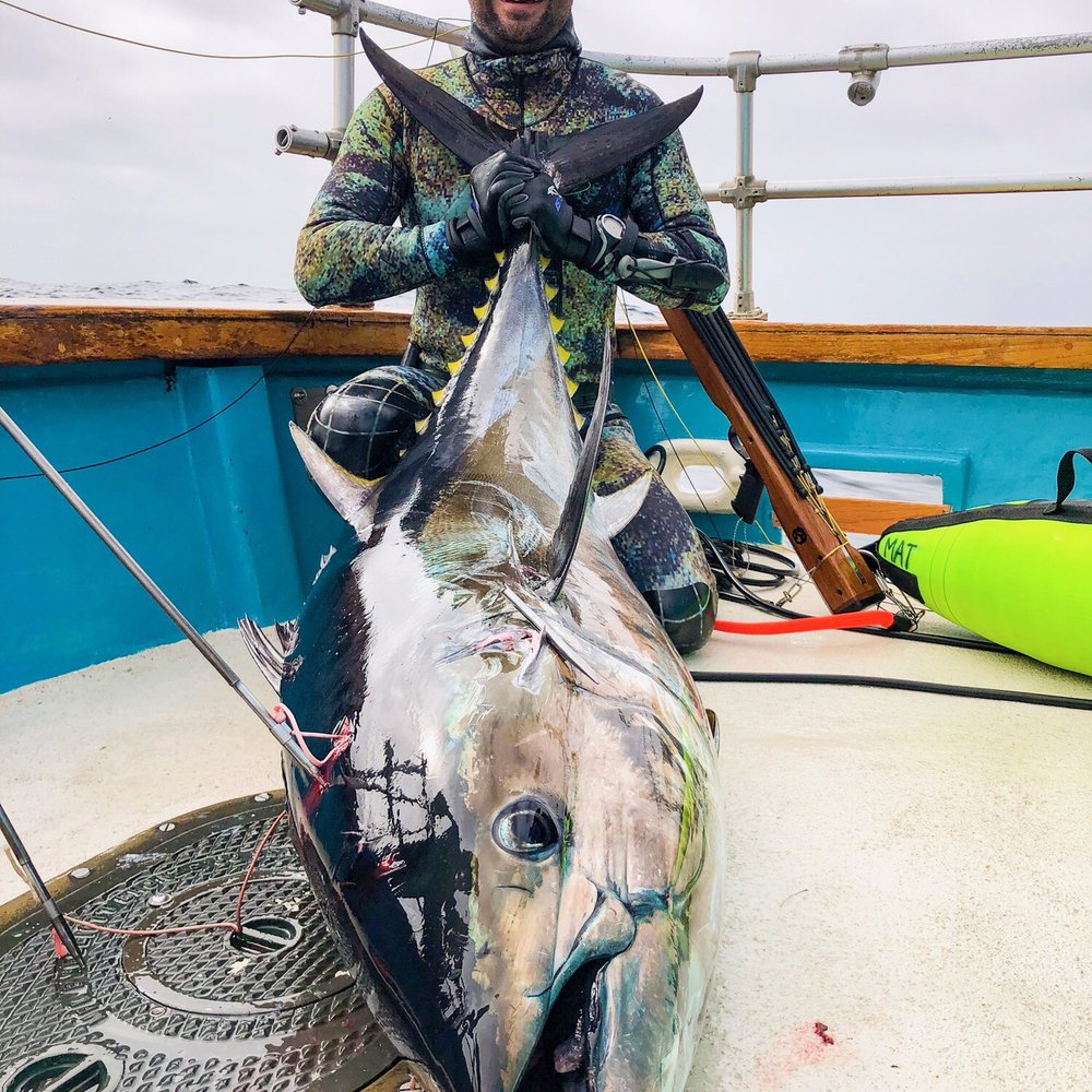 154lb Bluefin Tuna 154lb Bluefin Tuna