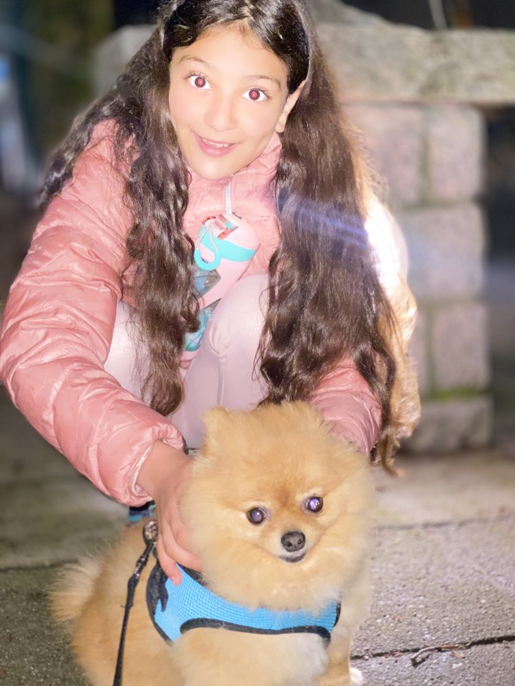 SAM Updated August 2024 Port Coquitlam, British Columbia Dog Walkers Phone Number Yelp