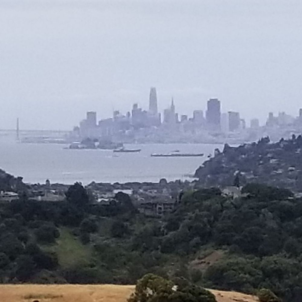 Ring Mountain Preserve - City view - Parks Near Me - Corte Madera, California Ring Mountain Preserve - City view - Parks Near Me - Corte Madera, California