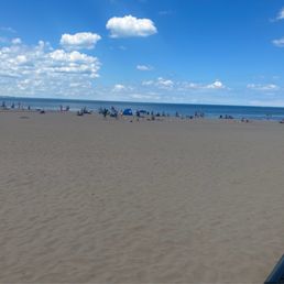 Dog Beach