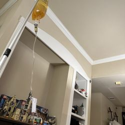 IV Bird