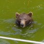 Photo of Vigo Zoo