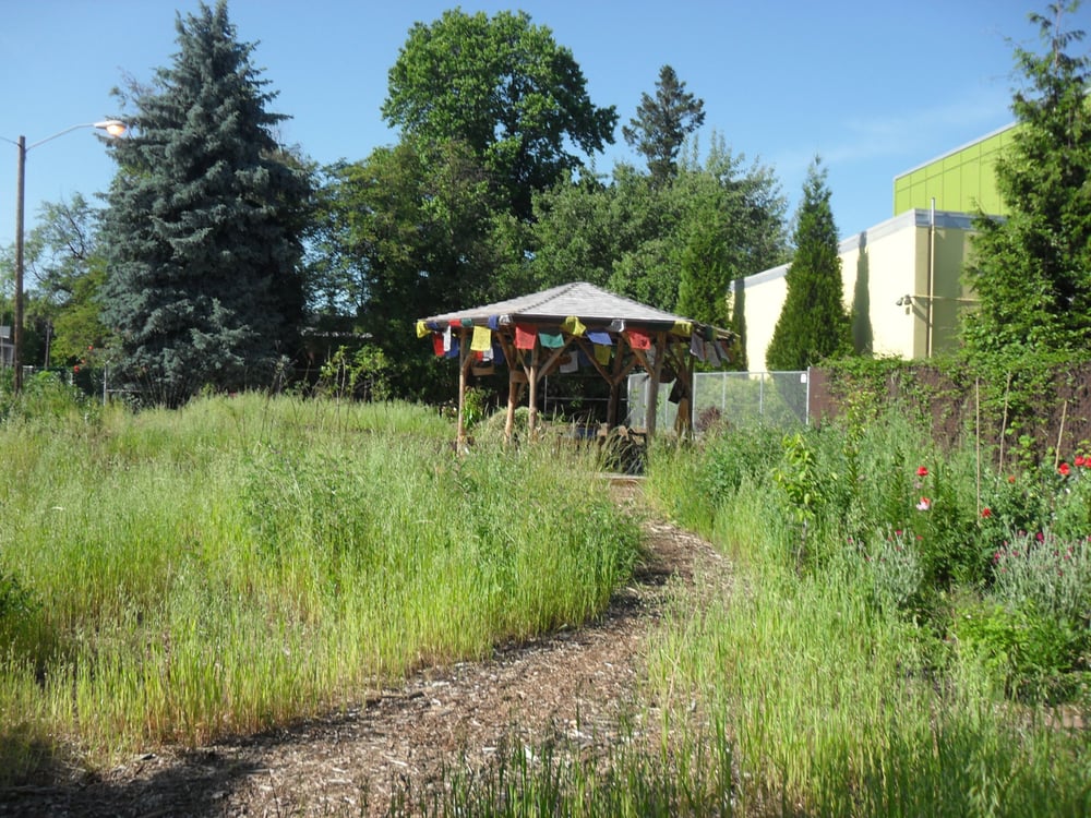 New Day School - childcare center in Portland, OR