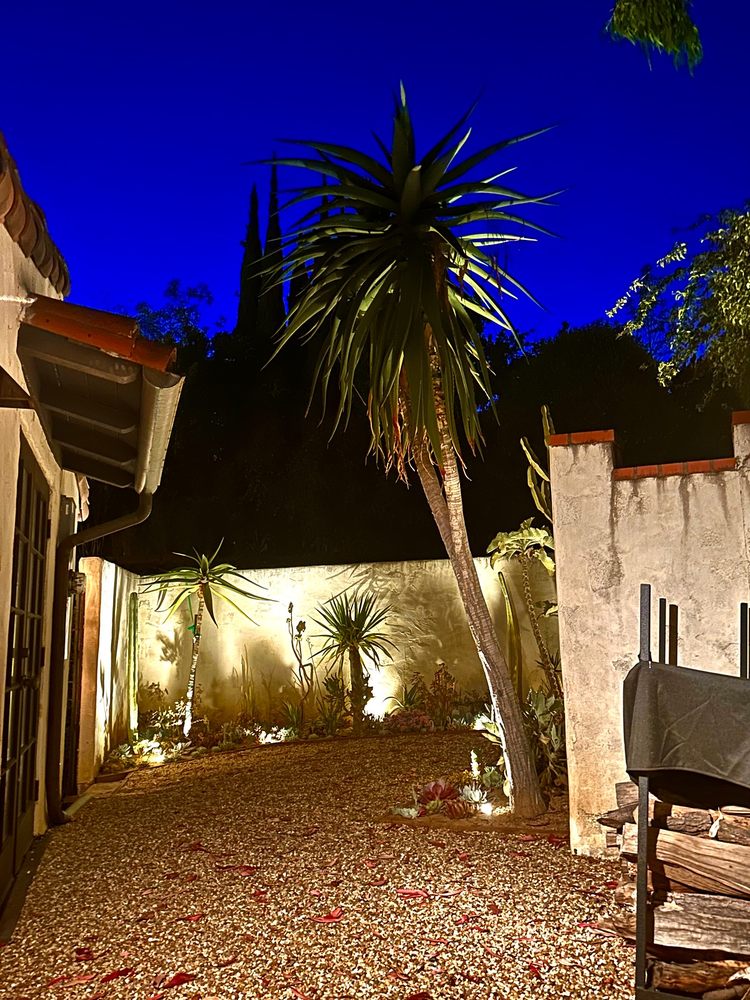 Virgo Designs And Landscaping - tree service in Beverly Hills, CA