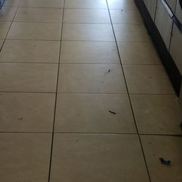 The floors are nasty hairs on top of more hairs DONT DROP UR LAUNDRY ON THE FLOIR HERE! The floors are nasty hairs on top of more hairs DONT DROP UR LAUNDRY ON THE FLOIR HERE!
